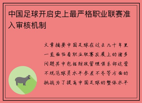 中国足球开启史上最严格职业联赛准入审核机制